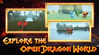 Dragon ERA Online: 3D Action F screenshot 4