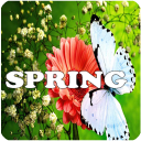 Springtime, Hello Spring icon
