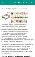 Genetics screenshot 4
