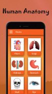 Human Anatomy and Physiology: Bones and Organs screenshot 0