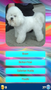 Dog Breeds - Know your Dog screenshot 1