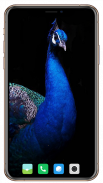 Peacock Wallpaper screenshot 7