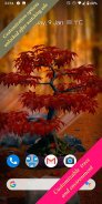 Bonsai 3D Live Wallpaper screenshot 5