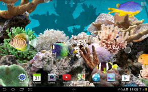 Aquarium Live Wallpaper screenshot 3