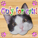 Only For Cats Icon