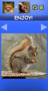 Mix Aminals. Animal morphing screenshot 2