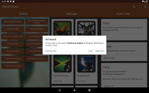 Dolphin Sounds screenshot 4