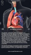 Respiratory System Anatomy Pro. screenshot 11