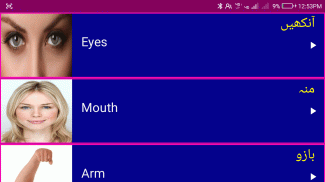 Learn English From Urdu screenshot 7