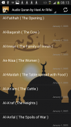 Audio Quran by Hani Ar Rifai screenshot 1