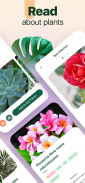 Plantum - 植物识别，叶子、花卉和树木护理 screenshot 6