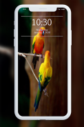 Bird Wallpaper screenshot 7