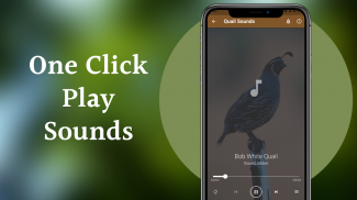 Quail Sounds & Calls screenshot 3