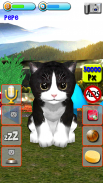 Talking Kittens virtual cat that speaks, take care screenshot 4