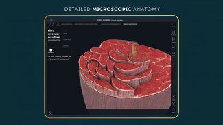 Complete Anatomy 2024 screenshot 6