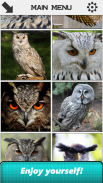 Owl Slide Puzzle screenshot 4