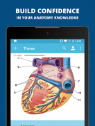 USMLE Clinical Anatomy screenshot 2