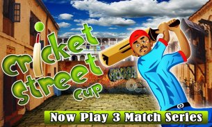 Cricket Street Cup Game screenshot 1
