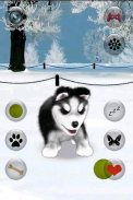 Talking Siberian Husky screenshot 3