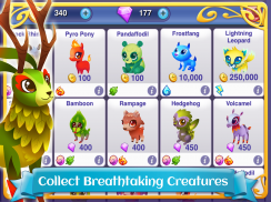 Fantasy Forest: Magic Masters! screenshot 7