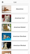 Cat Breeds Quiz - Game about Cats. Guess the Cat! screenshot 6