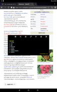 Malayalam Dictionary Pro screenshot 17