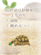 癒しのカメ育成ゲーム screenshot 5