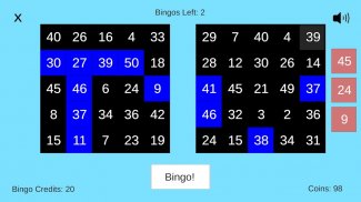 Bingo Star screenshot 6