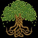 Plant A Forest Icon