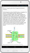 Metabolic Engineering screenshot 3