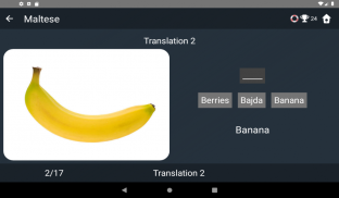Maltese Language Tests screenshot 2