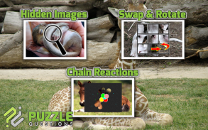 Free Baby Animal Puzzles screenshot 3