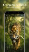 Tiger Wallpapers 4K screenshot 2