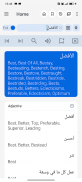 Arabic Dictionary screenshot 13