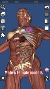 3D Bones and Organs (Anatomy) screenshot 4