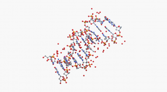 CrysX - 3D Viewer (Molecules and Solids) screenshot 5