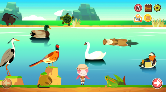 Ari Aru's Animal Exploration - The Sound of Animal screenshot 2