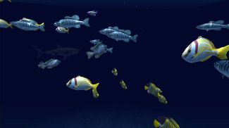Fish Schooling VR screenshot 3