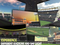 Epic Cricket - Real 3D Game screenshot 2