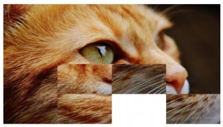 Cat puzzle screenshot 3