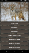 Coyote hunting calls screenshot 4