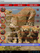 Big Cats Sounds screenshot 8