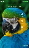 Parrot Lock Screen screenshot 7