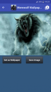 Werewolf Wallpaper screenshot 7