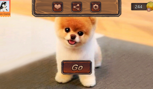 Pomeranian Dog Simulator screenshot 17