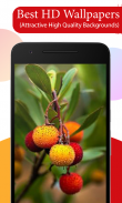 Fruit Tree Wallpapers HD screenshot 1