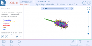 Células screenshot 1