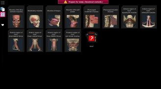 Anatomy Learning - 3D Anatomy screenshot 2