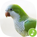 Appp.io - Parrot sounds Icon
