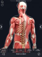 Muscle Anatomy Pro. screenshot 3
